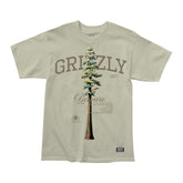 Remera Grizzly Tallest Pine - Cream